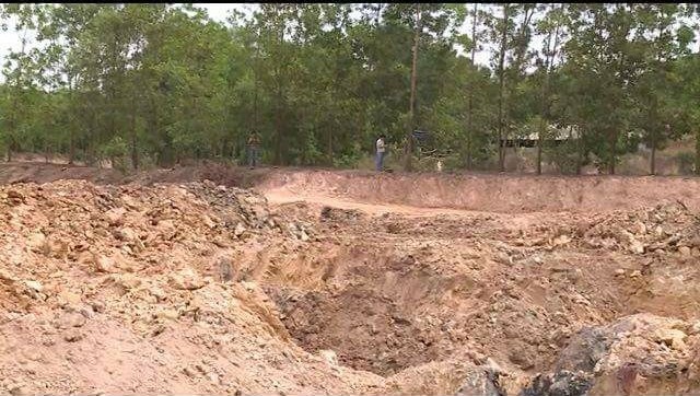 Thông tin từ đường dây nóng